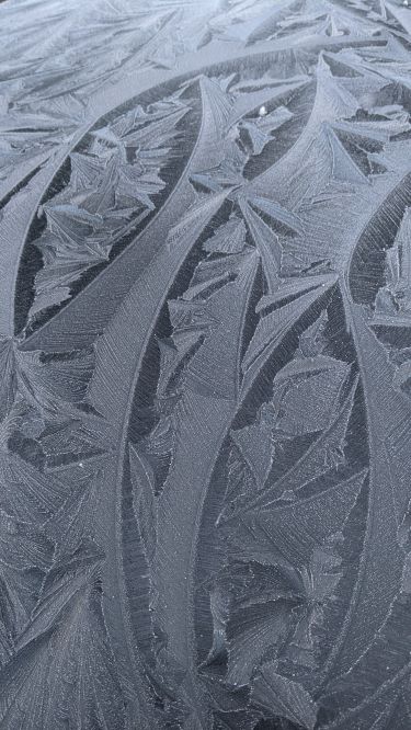 Icy Car Bonnet